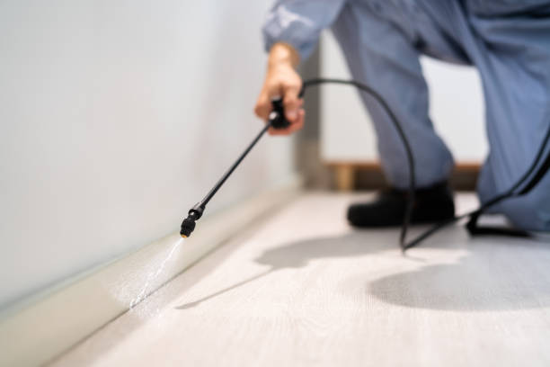 Bed Bug Pre-Treatment Preparation Assessment in Algona