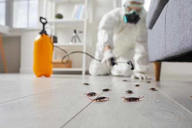 Post-Treatment Bed Bug Interceptor Monitoring in Algona